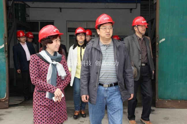 pp电子科技承担“陕西省沉大科技创新项目”通过验收