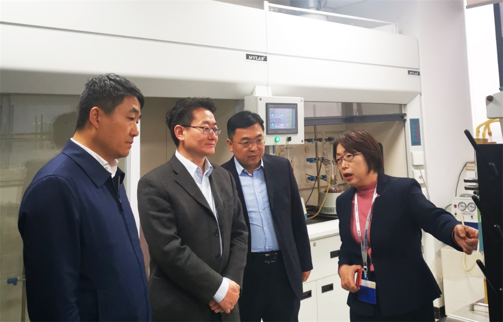 延安市副市长高昕昱同道一行来公司调查领导工作