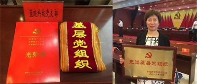 PP电子·仿照器(试玩游戏)官方网站